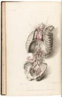 Engravings of the Arteries, Illustrating the Second Volume of the Anatomy of the Human Body by J. Bell, Surgeon; and Serving as an Introduction to the Surgery of the Arteries