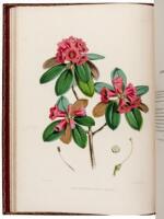 The Rhododendrons of Sikkim-Himalaya; being a account, botanical and geographical, of the Rhododendrons recently discovered in the mountains of Eastern Himalaya, from drawings and descriptions made on the spot, during a government botanical mission to tha