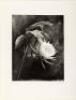 21st. The Journal of Contemporary Photography and Criticism, Vol. 4