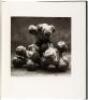 21st. The Journal of Contemporary Photography and Criticism, Vol. 4 - 2