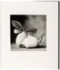 21st. The Journal of Contemporary Photography and Criticism, Vol. 4 - 3