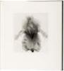 21st. The Journal of Contemporary Photography and Criticism, Vol. 4 - 4