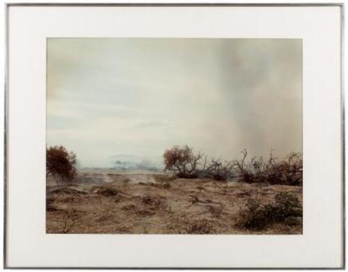 Desert Fire #83