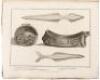 A Voyage Round the World; But More Particularly to the North-West Coast of America performed in 1785, 1786, 1787, and 1788 in The King George and Queen Charlotte, Captains Portlock and Dixon - 6