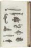 Cyclopaedia: Or, An Universal Dictionary of Arts and Sciences - Plate volume only - 2
