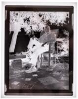 Collection of 20 original photographs of Henry Miller