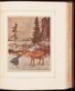 Stories from Hans Andersen