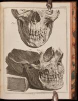 Historia Naturalis Dentium Humanorum / Natuurlyke Historie der Tanden van den Mensch