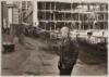 WITHDRAWN - Street Punk - original silver print