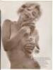 Eros. A complete set of all 4 issues - 2