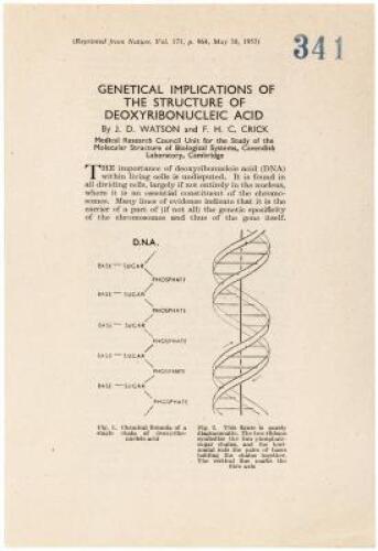 Genetical Implications of the Structure of Deoxyribonucleic Acid (caption title)