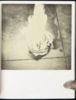 Various Small Fires and Milk