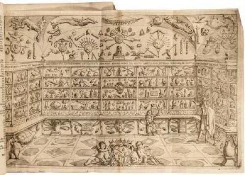 Museo Cospiano annesso a quello del famoso Ulisse Aldrovandi e donato alla sua patria