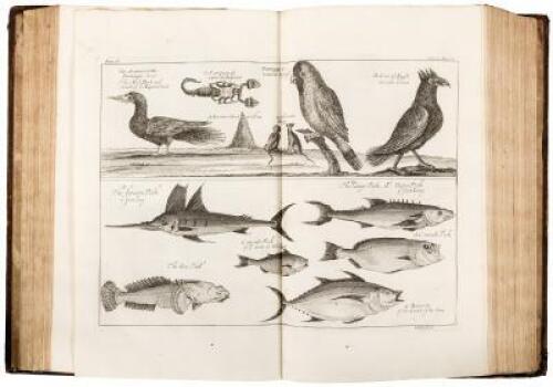 A Collection of Voyages and Travels, Some Now First Printed from Original Manuscripts, Others Now First Publish'd in English. Volumes 4, 5 & 6 only.