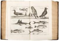 A Collection of Voyages and Travels, Some Now First Printed from Original Manuscripts, Others Now First Publish'd in English. Volumes 4, 5 & 6 only.