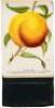 Specimen Book of Fruits, Flowers and Ornamental Trees, Carefully Drawn and Colored from Nature for the Use of Nurserymen