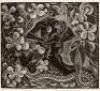 Paradise Lost. A Poem by John Milton. The Text of the First Edition Prepared for Press by J. Isaacs and Printed at the Golden Cockerel Press - 7