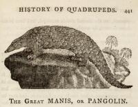 A General History of Quadrupeds