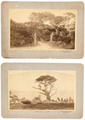 Two original albumen photographs, mounted to card