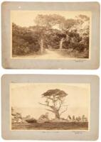 Two original albumen photographs, mounted to card