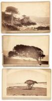 Three original albumen photographs of Monterey, California - from Watkins' New Boudoir Series