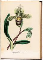 The American Flora, Or History of Plants and Wild Flowers