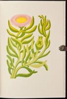 Selected Shore Plants of Southern California