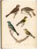 American Ornithology; Or, The Natural History of Birds Inhabiting the United States, Not Given by Wilson. Volumes 1 through 3 - 4