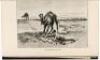 Spinifex and Sand: A Narrative of Five Years' Pioneering and Exploration in Western Australia - 4
