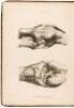 A Treatise on Ligaments