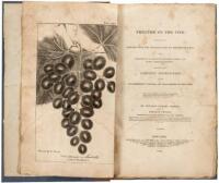 A Treatise on the Vine; Embracing Its History from the Earliest Ages to the Present Day, with Descriptions of Above Two Hundred Foreign and Eighty American Varieties; Together with a Dissertation on the Establishment, Culture, and Management of Vineyards.