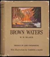 Brown Waters