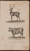 The Housekeeper's Guide, or A Plain & Practical System of Domestic Cookery