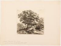 Nine etchings of views of trees