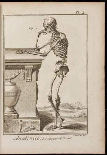 Encyclopedie, ou dictionnaire raisonne des sciences des arts et des m&eacute;tiers&hellip;