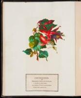 Talismanic Flowers - hand-made album of 12 months of chromolithographed flowers with poetry, plus other ephemera