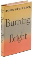 Burning Bright: A Play in Story Form