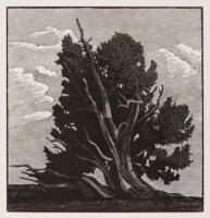 California in Relief. Thirty Wood Engravings by Richard Wagener