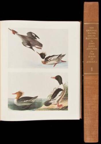 The Original Water-Color Paintings by John James Audubon for The Birds of America