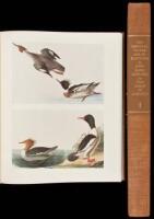 The Original Water-Color Paintings by John James Audubon for The Birds of America
