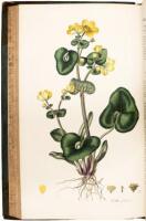 Flora Londinensis: Containing a History of the Plants Indigenous to Great Britain, Illustrated by Figures of the Natural Size