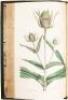 Flora Londinensis: Containing a History of the Plants Indigenous to Great Britain, Illustrated by Figures of the Natural Size - 5