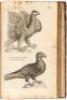 The Ornithology of Francis Willughby of Middleton in the county of Warwick Esq; fellow of the Royal Society. In three books. Wherein all the birds hitherto known, being reduced into a method sutable to their natures, are accurately described. The descript - 4