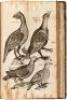 The Ornithology of Francis Willughby of Middleton in the county of Warwick Esq; fellow of the Royal Society. In three books. Wherein all the birds hitherto known, being reduced into a method sutable to their natures, are accurately described. The descript - 5