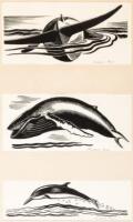 Three proof illustrations from Moby Dick