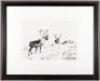 Two Caribou - an etching of two Alaskan caribou