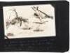 Album of real-photo postcards and snap-shots of Alaska and an Alaskan miner's pocket journal & recipe book - 2