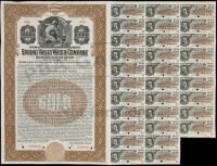 Spring Valley Water Company Specimen Gold Bond