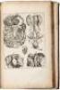 A Sure Guide; or, The Best and Nearest Way to Physick and Chyrurgery: That is to Say, the Arts of Healing by Medicine, and Manual Operation... - 2