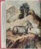 The Arts of Mankind - thirteen volumes from the series - 3